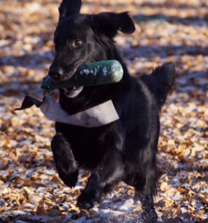 Wir vermissen dich !